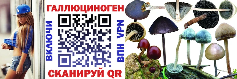 Галлюциногенные грибы мицелий  наркотики  Покачи 