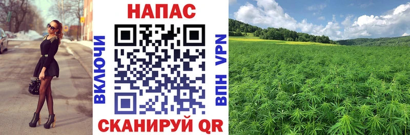 Шишки марихуана индика как найти Покачи
